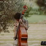 Colombaia Anibaldi *