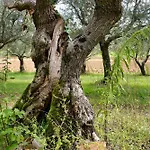 Farm stay Colombaia Anibaldi *