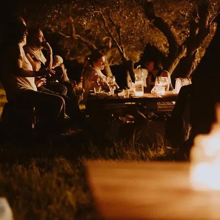 Colombaia Anibaldi *