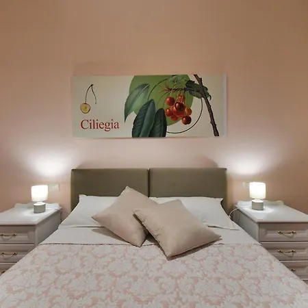 Colombaia Anibaldi 팜스테이 산세베리노마르케