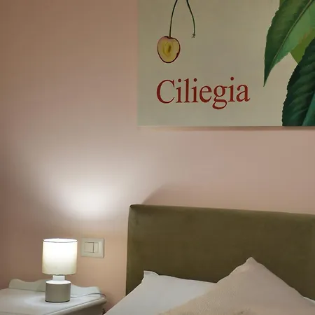 Colombaia Anibaldi 팜스테이 산세베리노마르케