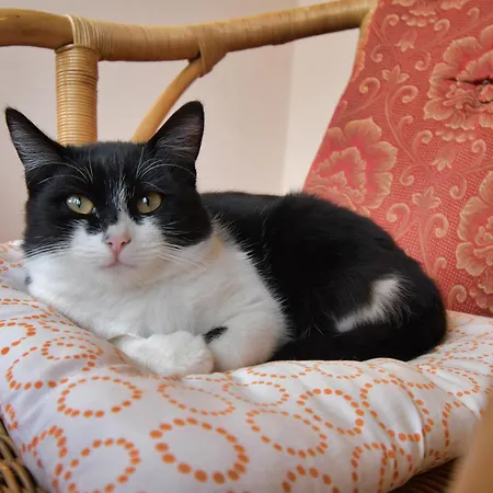 Colombaia Anibaldi 팜스테이 *