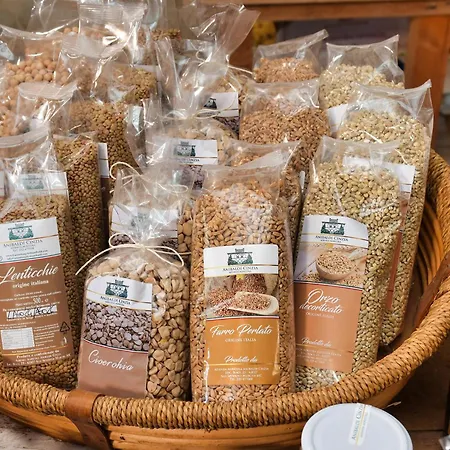 Colombaia Anibaldi *