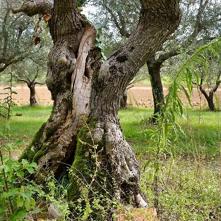 בית חווה Colombaia Anibaldi *