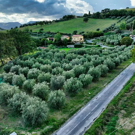 Colombaia Anibaldi * San Severino Marche