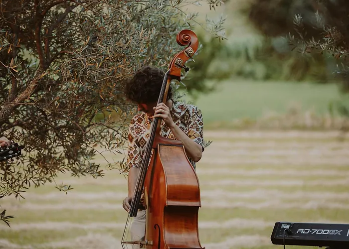 Colombaia Anibaldi *